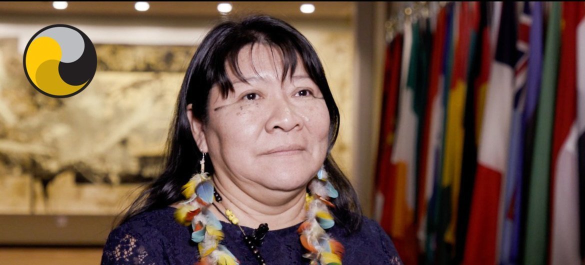 Indigenous leader Joenia Wapichana wearing a feather necklace and earrings, standing in front of multiple international flags at the COP17 climate conference in Durban.